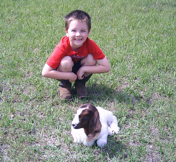 boer-goat-babies-2006b-aj.jpg