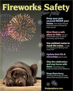 4th of July fireworks safety for pets